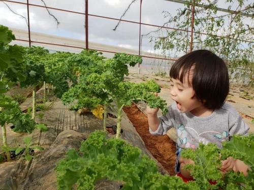 Agroturismo V??n Nh� B�ng