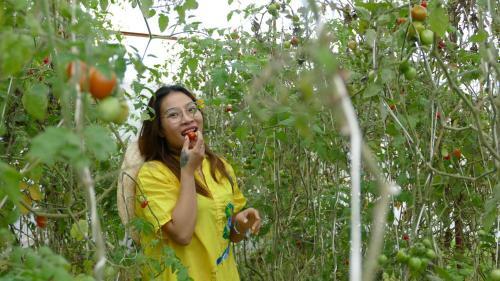 Agroturismo V??n Nh� B�ng