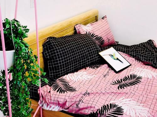 Starlight Homestay �nh Sao