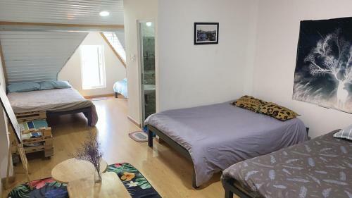 Starlight Homestay �nh Sao