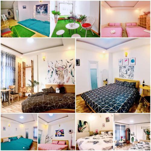 Starlight Homestay �nh Sao