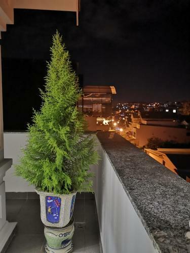 Bed & Breakfast The Saffron - Ngh? T�y Dalat