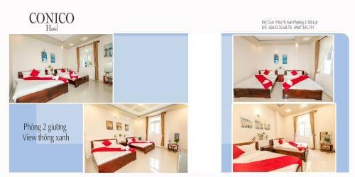 Conico Hotel