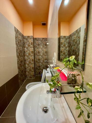 Hostal Selena Dalat Homestay