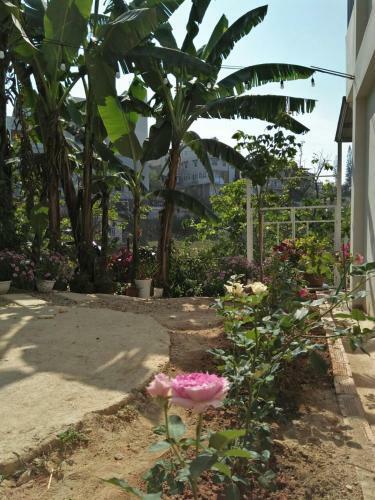 Apartamento Nh� C?a S�c