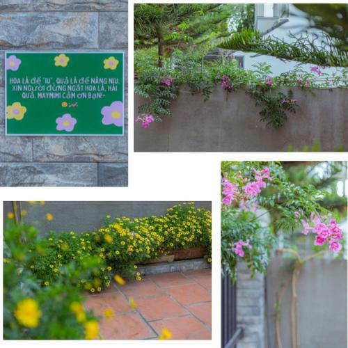 Maymimi Villa Hotel In Dalat