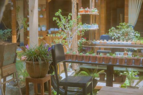 Hostal G? Th�ng Homestay