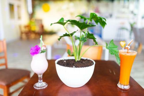 S�c Con Homestay & Coffee