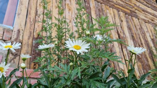 C� Na Homestay