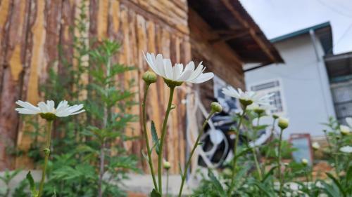 C� Na Homestay