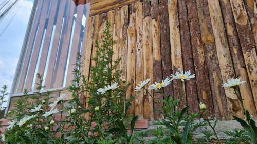 C� Na Homestay