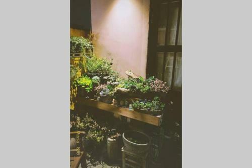 Apartamento Lil Smile's Home