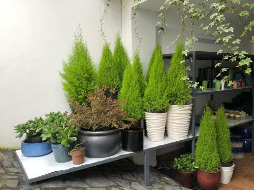 Trouvaille House