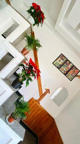 Apartamento D Penthouse