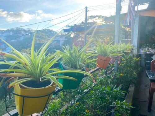Hostal Icolor Da Lat