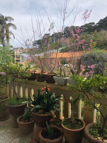 Apartamento M??i L?i Homestay