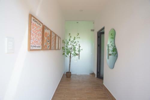 Apartamento Koala House