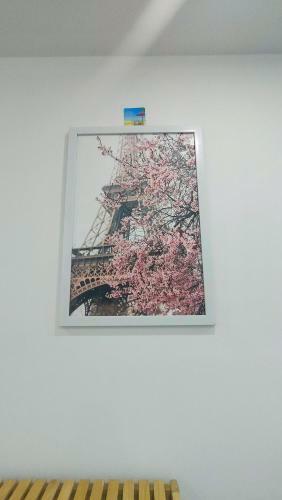 Hoshi House