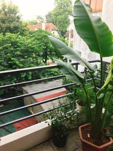 Hostal Feuilles Homestay