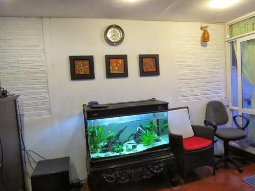 Capsule Hanoi Hostel