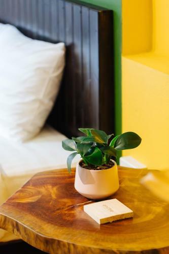 Anchie Homestay - City Central