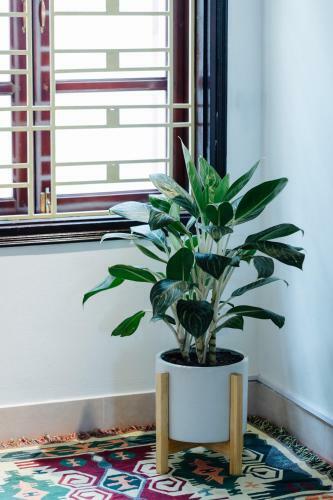 Anchie Homestay - City Central