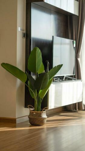 Bom Homes- Vinhomes Metropolis-service Apartment