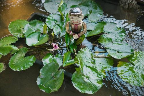 Apartamento Lotushomestayhanoi - Pagoda View 2