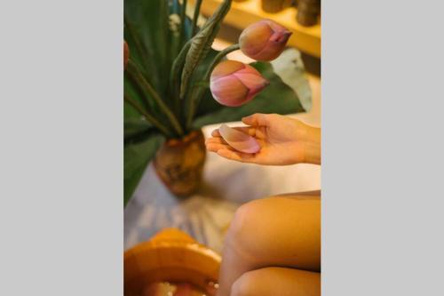 Apartamento Lotushomestayhanoi - Pagoda View 2