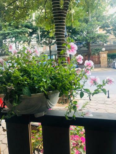 Aparthotel Tam An Hanoi Homestay