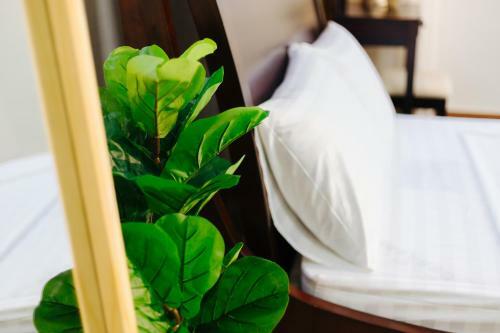 Apartamento Sunstay Paradise