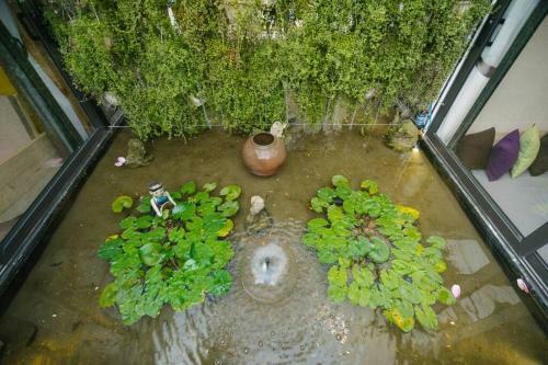 Apartamento Lotushomestayhanoi - Oasis View 1