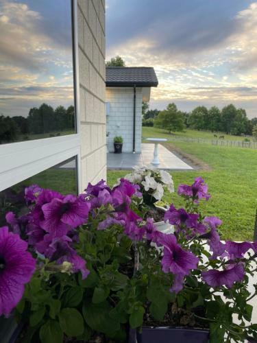 Hostal Veld View Bed And Breakfast