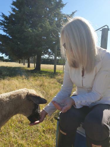 Bed & Breakfast Te Maru Country Stay