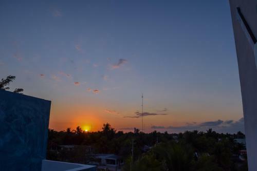 Apartamento Delmar