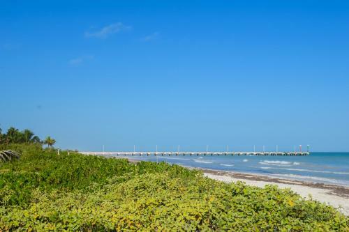 Apartamento Delmar
