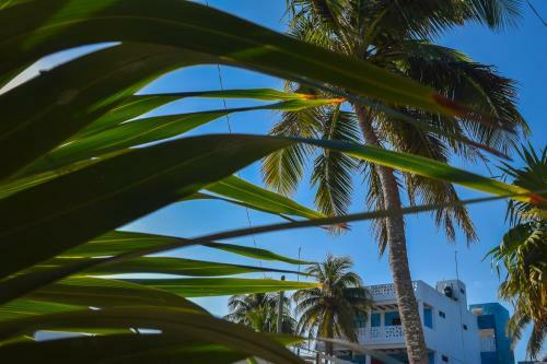 Apartamento Delmar