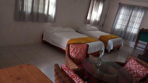 Apartamento Departamento Nice