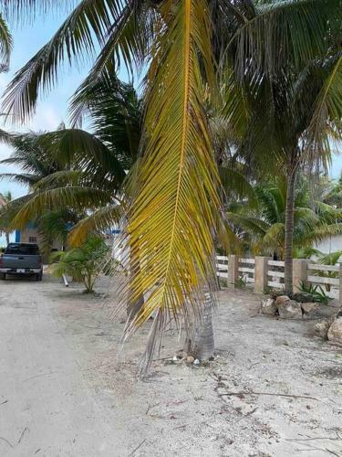 Apartamento Loft Gaviota El Cuyo Beach