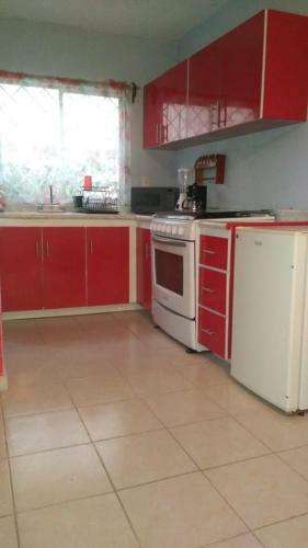 Apartamento Departamento Amueblado Con Todas Las Comodidades
