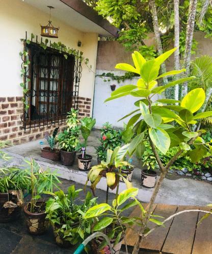 Casa Scarlett