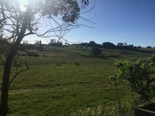 Bed & Breakfast Kowhai Rest