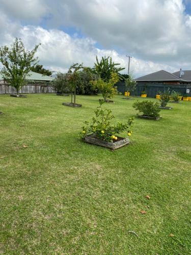 Bed & Breakfast Kowhai Rest