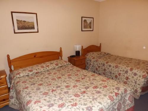 Hostal Cottage Guest House