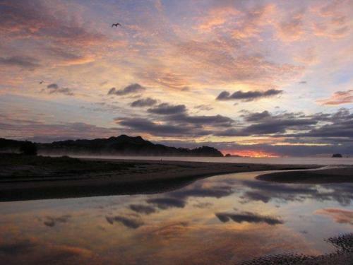 Bed & Breakfast Buffalo Beach Luxury B N B