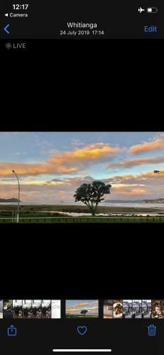 Bed & Breakfast Buffalo Beach Luxury B N B