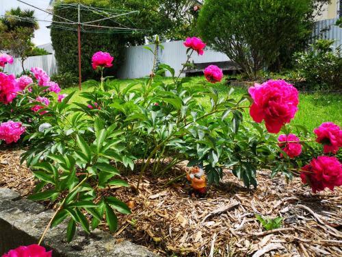 Hello Seaview! 4 Brs House In Central Location!