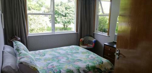 Super Central Cosy Greytown House With Garage