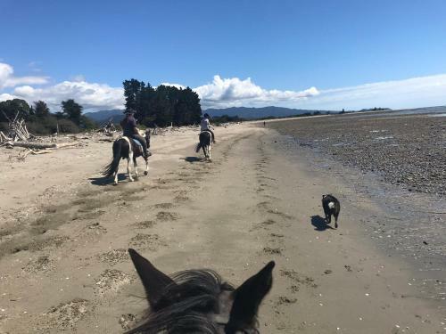 Private Beachside Oasis. Bring The Horse!