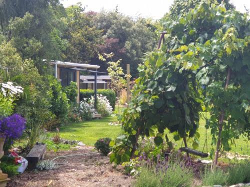 Hostal Cabins On Tudor Bed & Breakfast